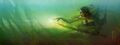 Thumbnail for version as of 17:37, 21 January 2025