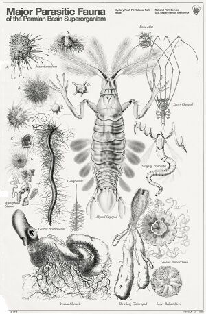1200px-MysteryFleshPitFauna.jpg