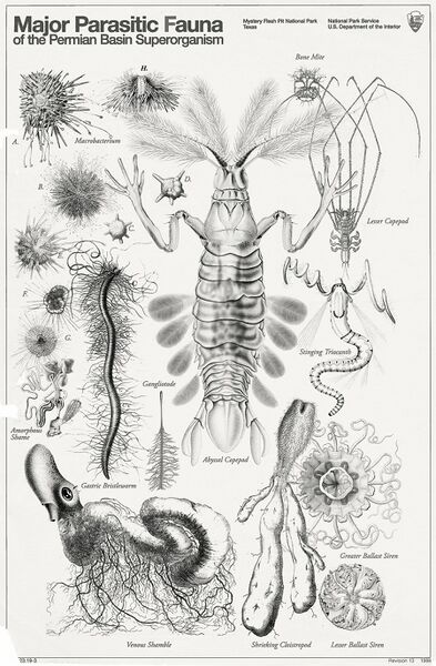 File:1200px-MysteryFleshPitFauna.jpg