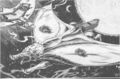 Thumbnail for version as of 19:03, 21 January 2025
