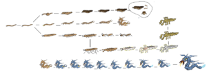 1200px-Ocean SmallChart Worem.png