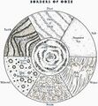Thumbnail for version as of 19:32, 21 January 2025