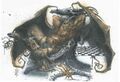 Thumbnail for version as of 20:11, 21 January 2025