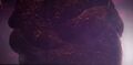Thumbnail for version as of 18:31, 21 January 2025