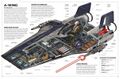 Thumbnail for version as of 17:41, 21 January 2025