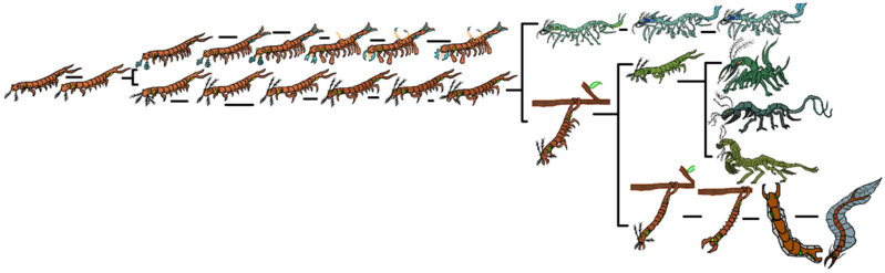 File:1200px-Schwarchart.png