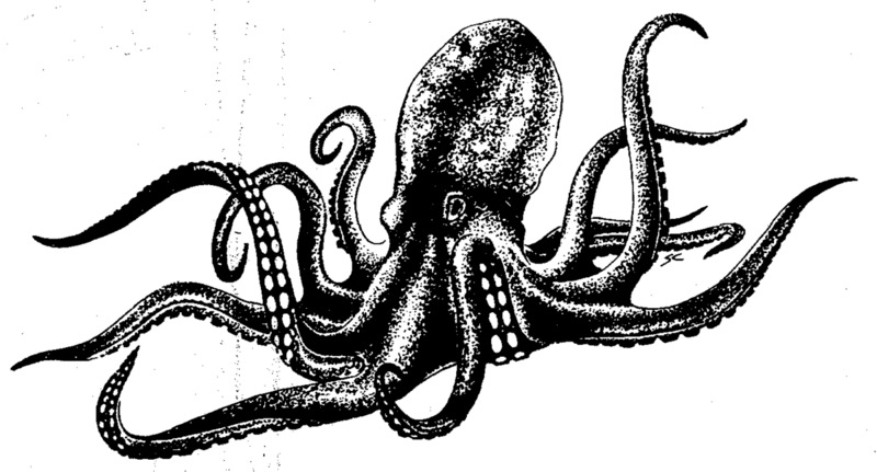 File:1200px-Sea demon Dragon 48.png