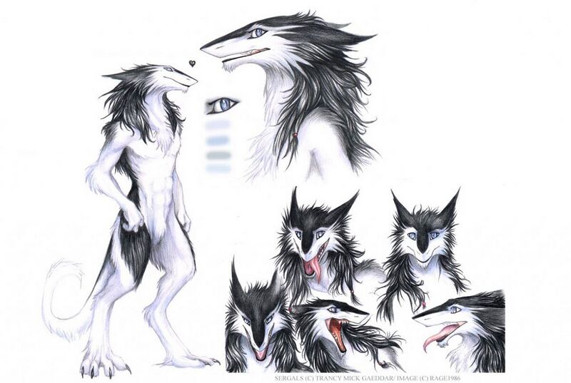 File:1200px-Sergal references.jpg
