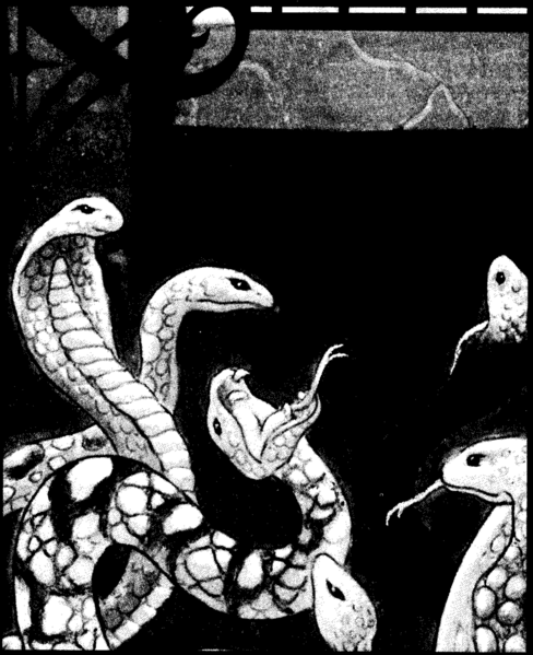 File:1200px-Shadow asp MC Ravenloft3.png