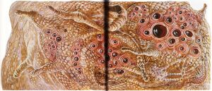 1200px-Shoggoth SPFG Cthulhu Monsters.jpg