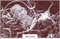 Thumbnail for version as of 17:31, 21 January 2025