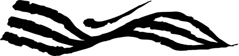 File:1200px-Silent Striders.png