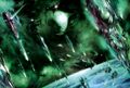 Thumbnail for version as of 19:03, 21 January 2025