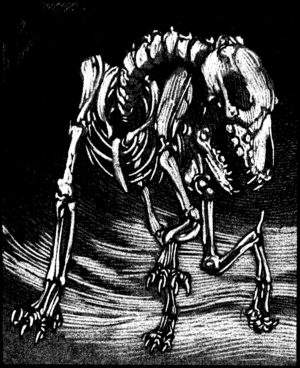 1200px-Skeletal hound MCR3.png