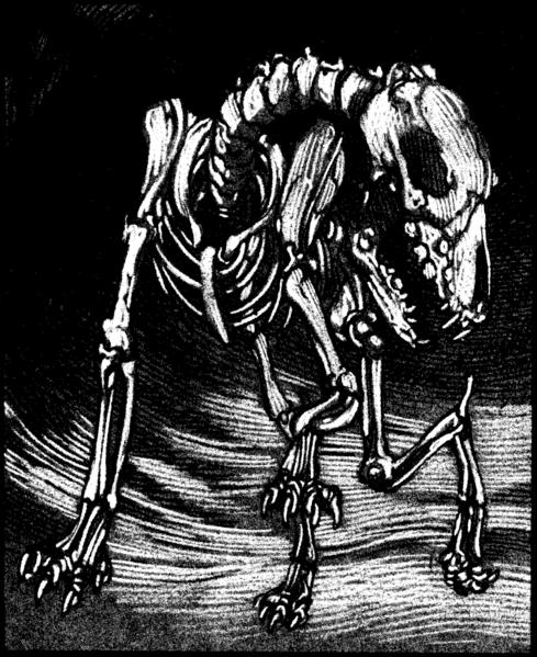 File:1200px-Skeletal hound MCR3.png