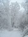 Thumbnail for version as of 17:41, 21 January 2025
