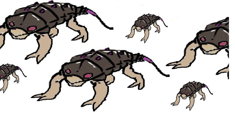 File:1200px-Social Burrog.jpg
