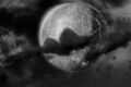 Thumbnail for version as of 19:13, 21 January 2025