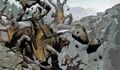 Thumbnail for version as of 17:16, 21 January 2025