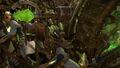 Thumbnail for version as of 18:27, 21 January 2025