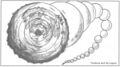 Thumbnail for version as of 17:16, 21 January 2025
