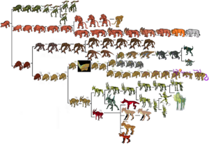 1200px-Thudder chart.png