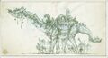 Thumbnail for version as of 19:18, 21 January 2025