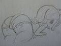 Thumbnail for version as of 19:54, 21 January 2025