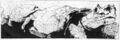 Thumbnail for version as of 18:46, 21 January 2025