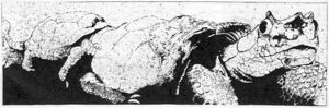 1200px-Tunnel crawler WD 60 2.jpg