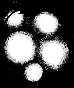 1200px-Will o mist MC Ravenloft3.png