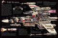 Thumbnail for version as of 18:18, 21 January 2025