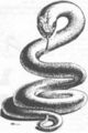 Thumbnail for version as of 20:02, 21 January 2025