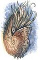 Thumbnail for version as of 20:12, 21 January 2025
