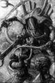 Thumbnail for version as of 19:11, 21 January 2025
