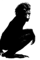 Thumbnail for version as of 20:09, 21 January 2025
