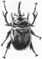 Thumbnail for version as of 20:12, 21 January 2025