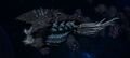 Thumbnail for version as of 20:19, 21 January 2025