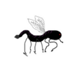 Thumbnail for version as of 20:11, 21 January 2025