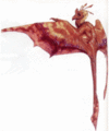 Thumbnail for version as of 18:04, 21 January 2025