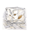 Thumbnail for version as of 18:09, 21 January 2025