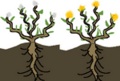 Thumbnail for version as of 20:11, 21 January 2025