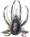 Thumbnail for version as of 18:30, 21 January 2025
