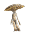 Thumbnail for version as of 19:13, 21 January 2025