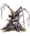 Thumbnail for version as of 19:17, 21 January 2025