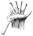 Thumbnail for version as of 20:14, 21 January 2025