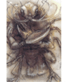 Thumbnail for version as of 18:29, 21 January 2025
