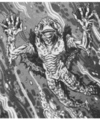 Thumbnail for version as of 19:39, 21 January 2025