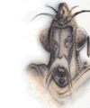 Thumbnail for version as of 18:44, 21 January 2025