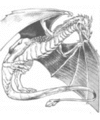 Thumbnail for version as of 19:47, 21 January 2025